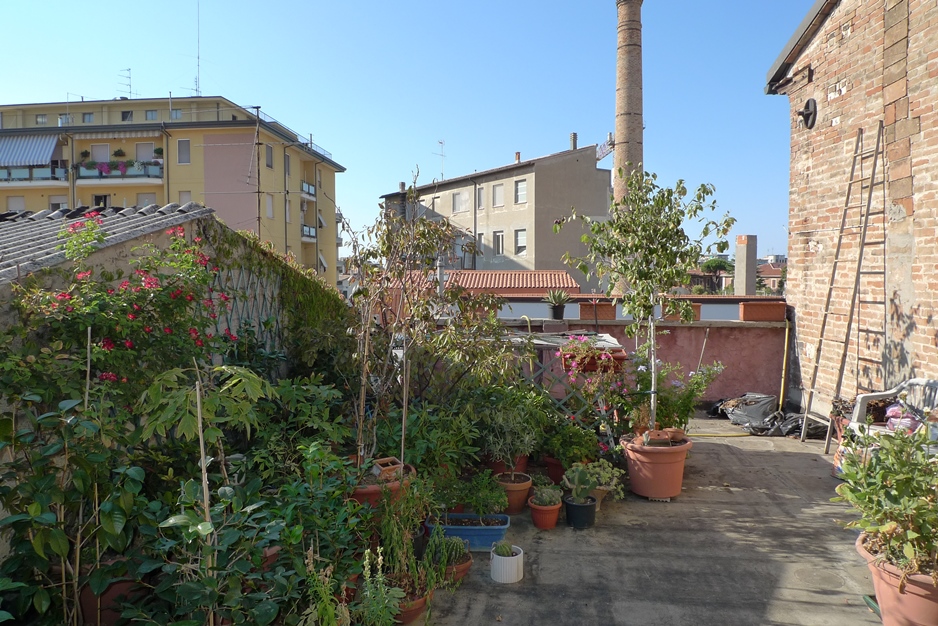 VENDITA APPARTAMENTO CON TERRAZZA ESCLUSIVA DI MQ. 60 CA. (AP182)