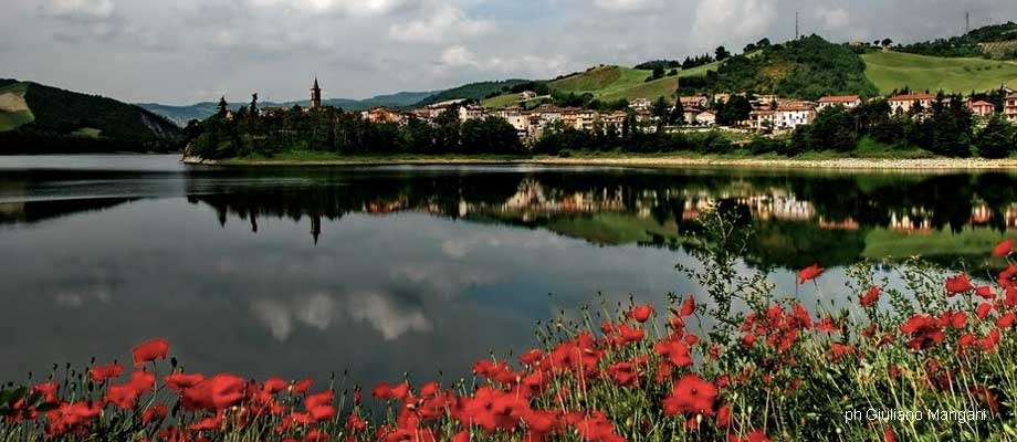 Provincia di Pesaro e Urbino