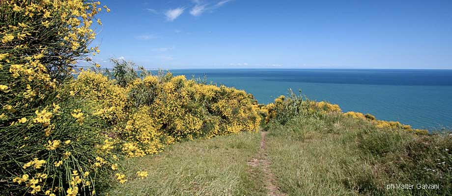 Pesaro - Parco del San Bartolo