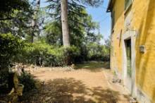 Vendita villa padronale con terreno Pesaro - Zona Candelara (RC742)