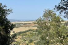 Vendita terreno edificabile Pesaro - Zona Ginestreto (TE200)