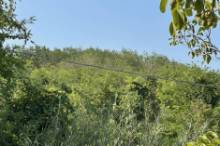 Vendita terreno edificabile Pesaro - Zona Ginestreto (TE200)