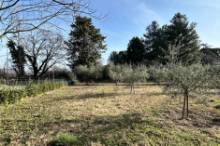 Vendita villa unifamialiare Pesaro - zona Villa Ceccolini (VI135)