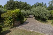 Vendita casale con terreno località Ginestreto (RC880)