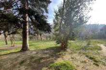 Vendita ampio appartamento con box auto Pesaro - Zona Cinque Torri (AP932)