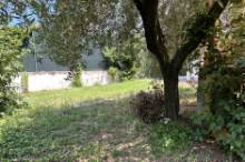 Vendita villa con giardino esclusivo Pesaro - Zona Montegranaro (VI990)