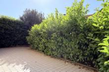 Vendita appartamento in villino bifamiliare con giardino Pesaro - Zona mare (AP940)