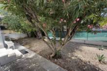 AFFITTO APPARTAMENTO ARREDATO ZONA MARE AB-16