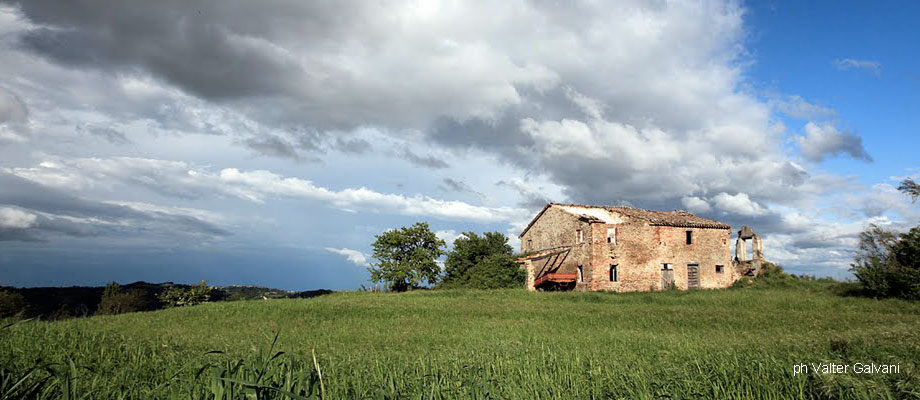 Provincia di Pesaro e Urbino