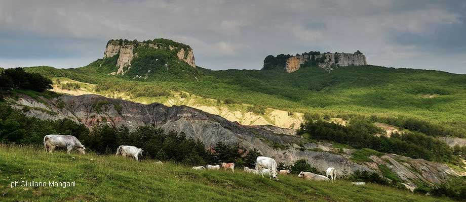 Provincia di Pesaro e Urbino